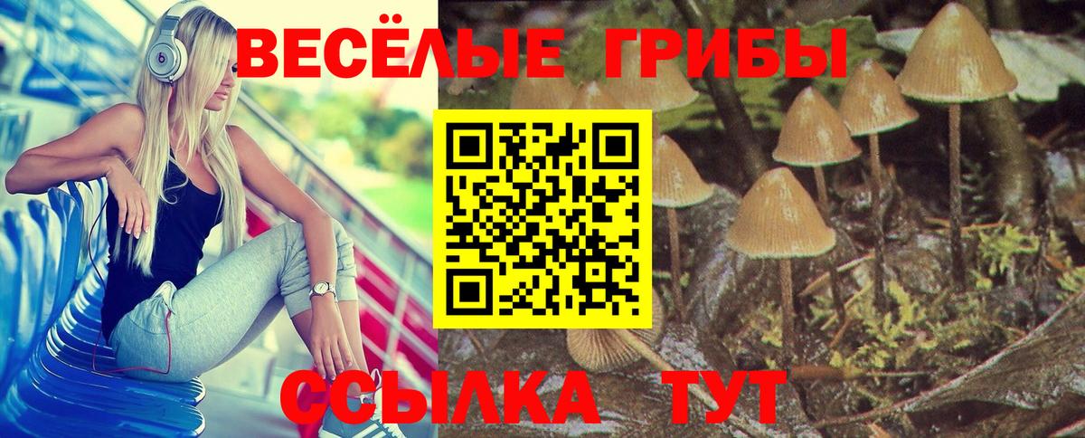 APVP СК   Вход с VPN  МАРИХУАНА  Канск  COCAIN  ГАШИШ  Мефедрон  Меф кристаллы  МЕТАМФЕТАМИН 