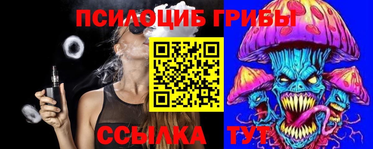 где найти наркотики  Псилоцибиновые грибы ЛСД  Вход с VPN  Галлюциногенные грибы прущие грибы  Канск 